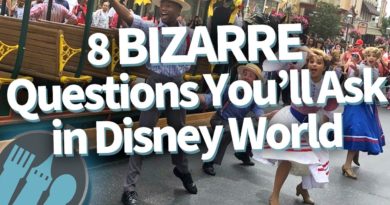 8 Bizarre Questions You'll Ask in Disney World!