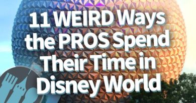 11 Weird Ways the Pros Spend Their Time in Disney World