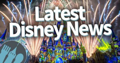 Latest Disney News: Disney World Starts to Open in FOUR Days with New Safety Protocols