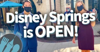 See What a Reopened Disney World Looks Like