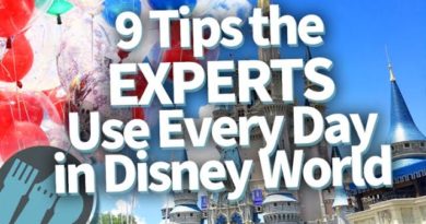 9 Tips the Experts Use Every Day in Disney World