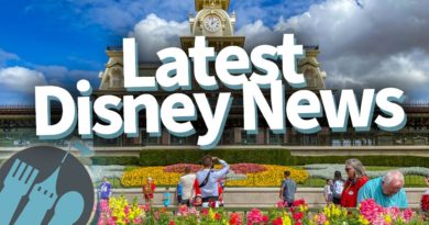 Latest Disney News: Florida Moves Closer to Reopening, Shanghai Tests Fireworks, and May 4th is HERE
