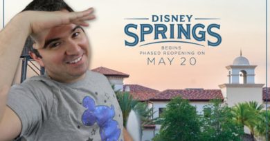 Disney Springs Opening Details! Flower and Garden Cancelled - Construction Starting!