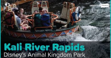 Kali River Rapids, Full-Length 4K POV | Disney’s Animal Kingdom Park