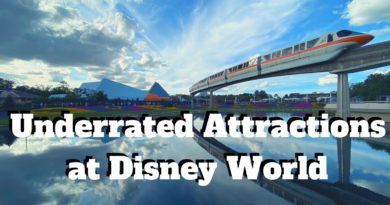 Underrated Disney World Attractions | The Weekly Breakdown 023