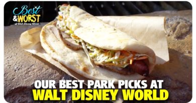 Our BEST Park Picks | Best & Worst of Walt Disney World - DIS Unplugged