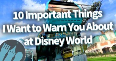 10 Important Things I Want to Warn You About at Disney World - Disney Food Blog