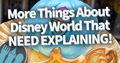 More Things About Disney World That NEED EXPLAINING - Disney Food Blog