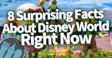 8 Surprising Facts about Disney World Right Now - Disney Food Blog