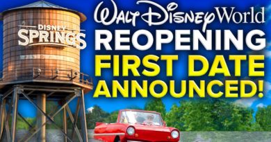 FIRST Walt Disney World REOPENING DATE ANNOUNCED - Mickey Views