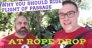 Why You Should Ride Flight of Passage at Park Opening - Touring Plans