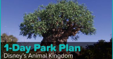 1-Day Park Plan for Disney’s Animal Kingdom - Undercover Tourist