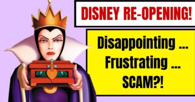 Disney World's Re-Opening | Revoking Dining Plans, Denying Extra Magic Hours - Average Me | Mouse and Castle