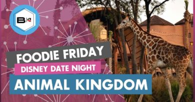 Best Restaurants at Disney's Animal Kingdom - Date Night at Disney - Beyond the Kingdoms | Mouse and Castle