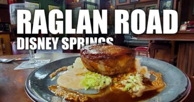 Dinner at Raglan Road in Disney Springs Dining Review - Cory Meets World | Mouse and Castle