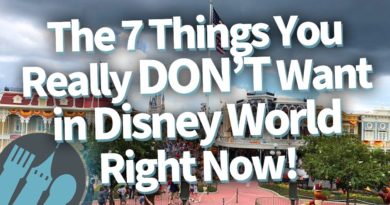 The 7 Things You Really DON'T Want in Disney World Right Now - Disney Food Blog | Mouse and Castle
