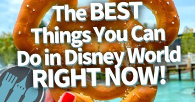 The Best Things You Can Still Do in Disney World Right NOW - Disney Food Blog