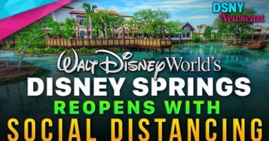 Walt Disney World's DISNEY SPRINGS REOPENS with Social Distancing - DSNY Newscast | Mouse and Castle