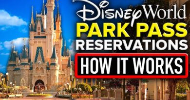 HOW Disney World's New PARK PASS Reservation System WORKS - Mickey Views | Mouse and Castle