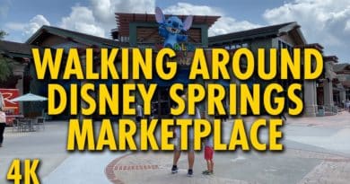 Taking a Walk Around Disney Springs Marketplace - The DIS | Mouse and Castle
