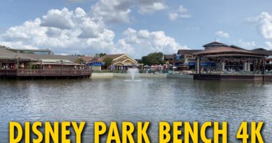 Marketplace at Disney Springs | Disney Park Bench - The DIS | Mouse and Castle