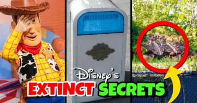 Top 7 Extinct Disney World Secrets - TPM Vids | Mouse and Castle