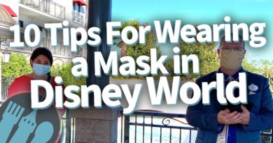 10 Tips for Wearing a Mask in Disney World | Mouse and Castle