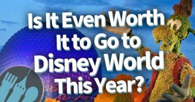 Is It Even Worth It To Go To Disney World This Year | Mouse and Castle