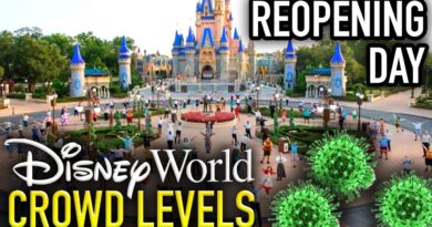 DISNEY WORLD CROWD LEVELS Reopening Day at the Magic Kingdom! - Mickey Views | Mouse and Castle