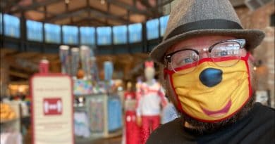 Disney Home Decor Shopping | Disney Springs and Some Local Gems - Paging Mr Morrow | Mouse and Castle