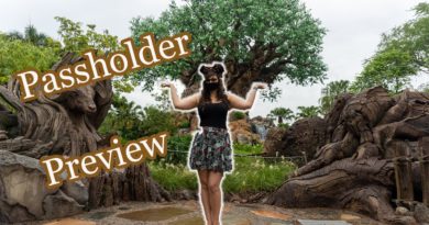 Is Animal Kingdom Ready for Reopen? - Princess and the Bear | Mouse and Castle