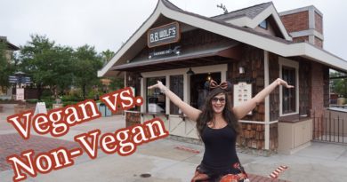 B. B. Wolf's Sausage Co. | Vegan & non-vegan food review - Princess & The Bear | Mouse and Castle