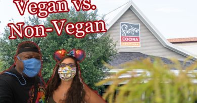Frontera Cocina | Vegan & non-vegan food review - Princess & The Bear | Mouse and Castle