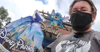 My Return To Walt Disney World - First Visit Since the ReOpening of Disney Springs Summer 2020 | Mouse and Castle