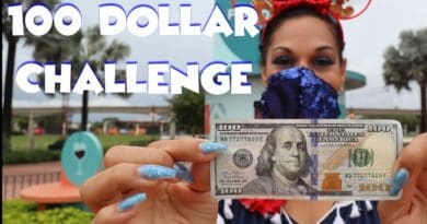 Disney's Epcot Food and Wine Festival $100 Dollar Challenge - Dys Life of Ours | Mouse and Castle