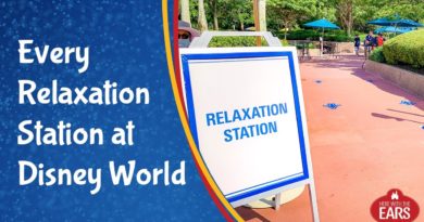 All the Walt Disney World Relaxation Stations - Mask Free Zones - Here with the Ears | Mouse and Castle