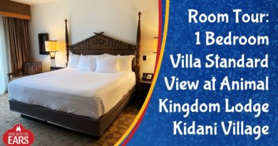 Animal Kingdom Lodge Kidani Village - 1 Bedroom Villa - Room Tour - Here with the Ears | Mouse and Castle
