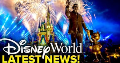 Project Nugget - Disney World's 50th Anniversary Work Gets Underway - Mickey Views | Mouse and Castle