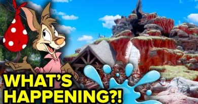 WHAT'S HAPPENING at Disney World's Splash Mountain?! - Mickey Views | Mouse and Castle