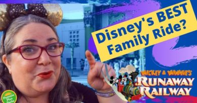 Is Mickey & Minnie's Runaway Railway Fat Friendly? - Pammie Plus Parks | Mouse and Castle