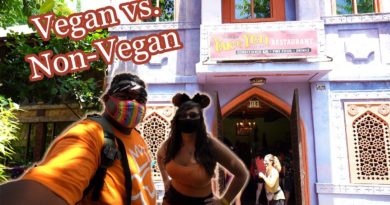 Yak & Yeti Restaurant Re-opened | Vegan & non-vegan food review - Princess and the Bear | Mouse and Castle