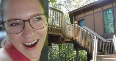 A Surprise Disney World Staycation -Treehouse Villas - The Tim Tracker | Mouse and Castle