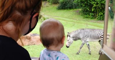 We Had An Awesome Day At Disney's Animal Kingdom! Rainy Safaris Are The Best