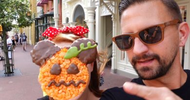 A Fun Day At Disney's Magic Kingdom! Cheeseburger Spring Rolls Are Back, A Carousel Ride