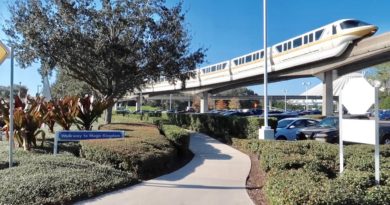 A Modified Disney World Monorail Holiday Resort Crawl - NEW Magic Kingdom Walkway