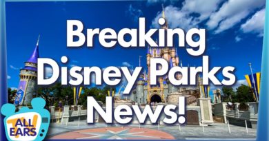 Magic Kingdom Restaurants Reopen, More Disney Resorts Open Soon