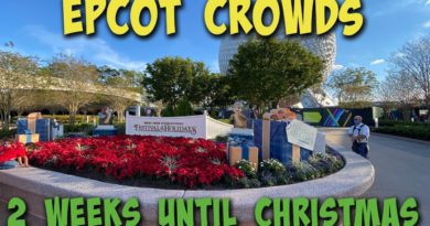 How are crowds at Walt Disney World? EPCOT 2 Weeks Until Christmas