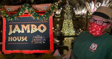 Disney’s Animal Kingdom Lodge Christmas Tree & Decorations - Dinner At Sanaa