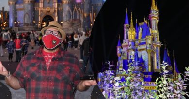 A Cold Night At Disney’s Magic Kingdom 42° - Low Wait Times