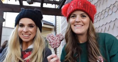 Christmas Treats at Disney Springs